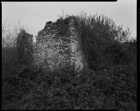 Des fleurs dans les ruines Thomas Delsol